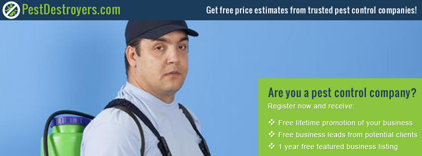 PestDestroyers.com cover image
