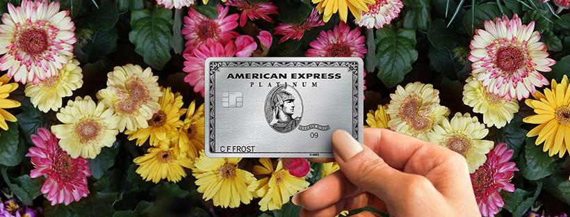 American Express Shop Small cover image