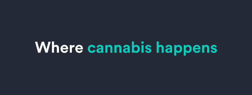 Weedmaps cover image