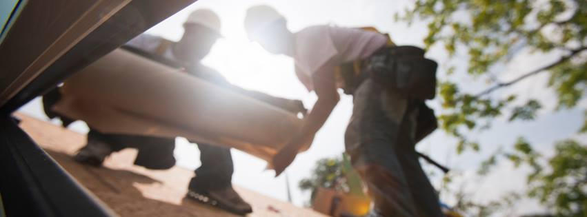 Look Local WA cover image