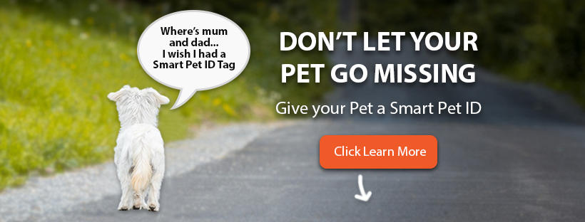 Pet Net ID cover image