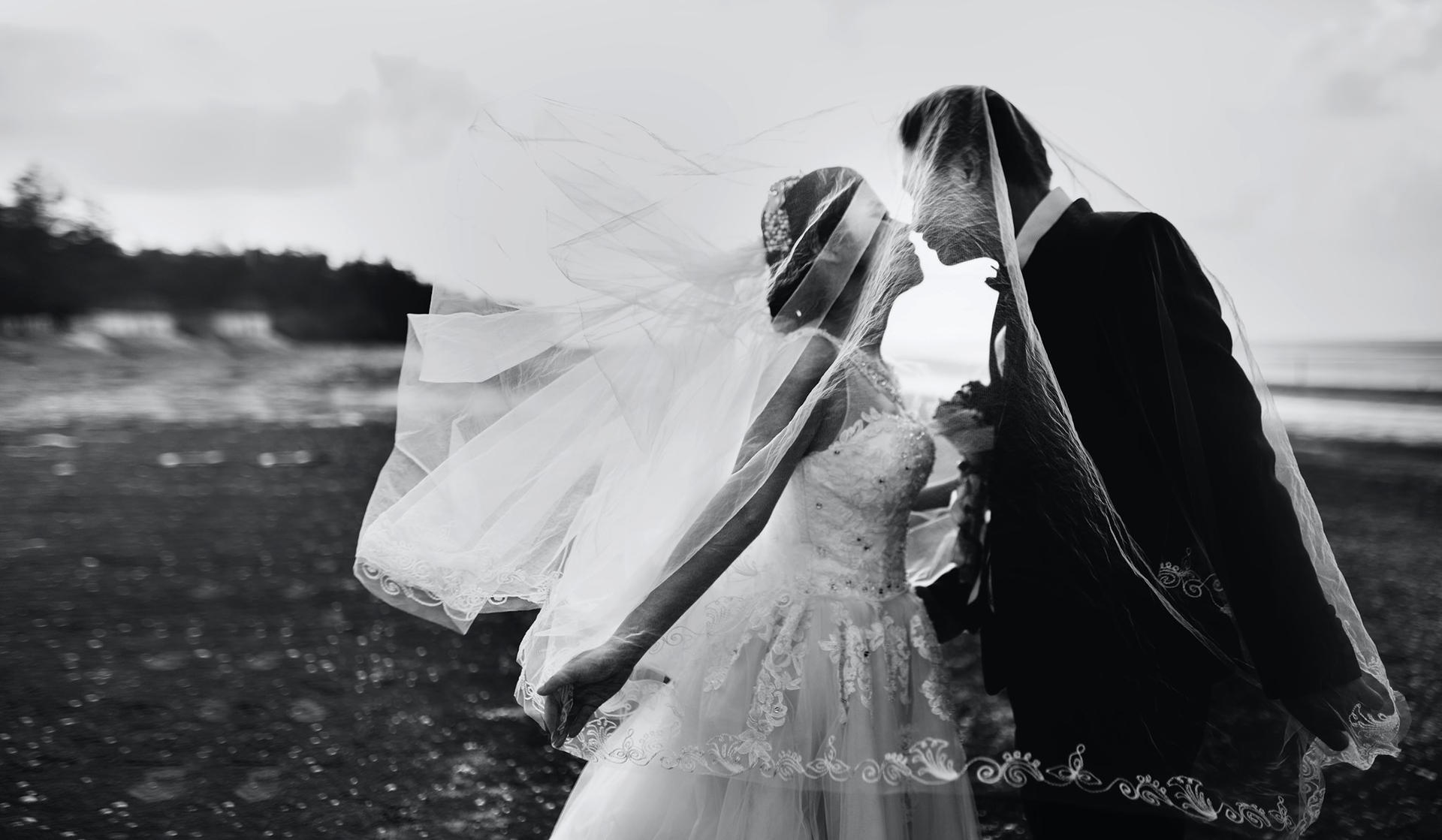 Wedding Rule cover image