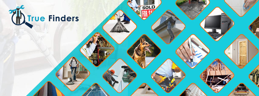 Truefinders cover image
