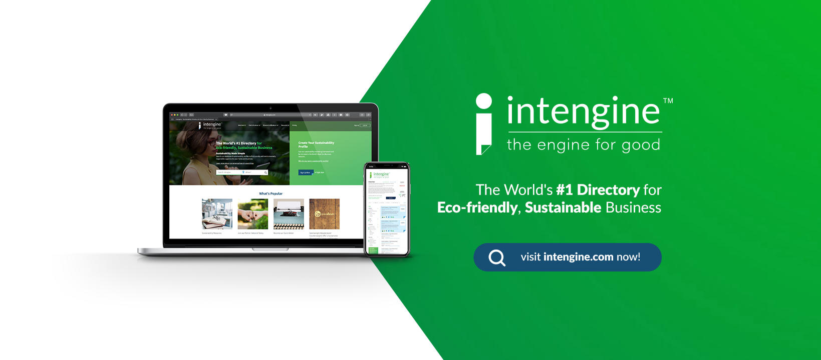 Intengine cover image