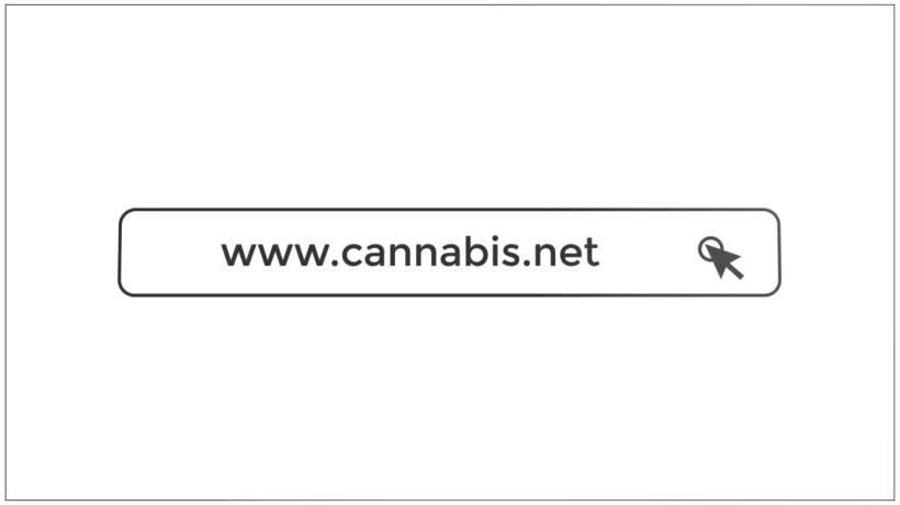 Cannabis.net cover image