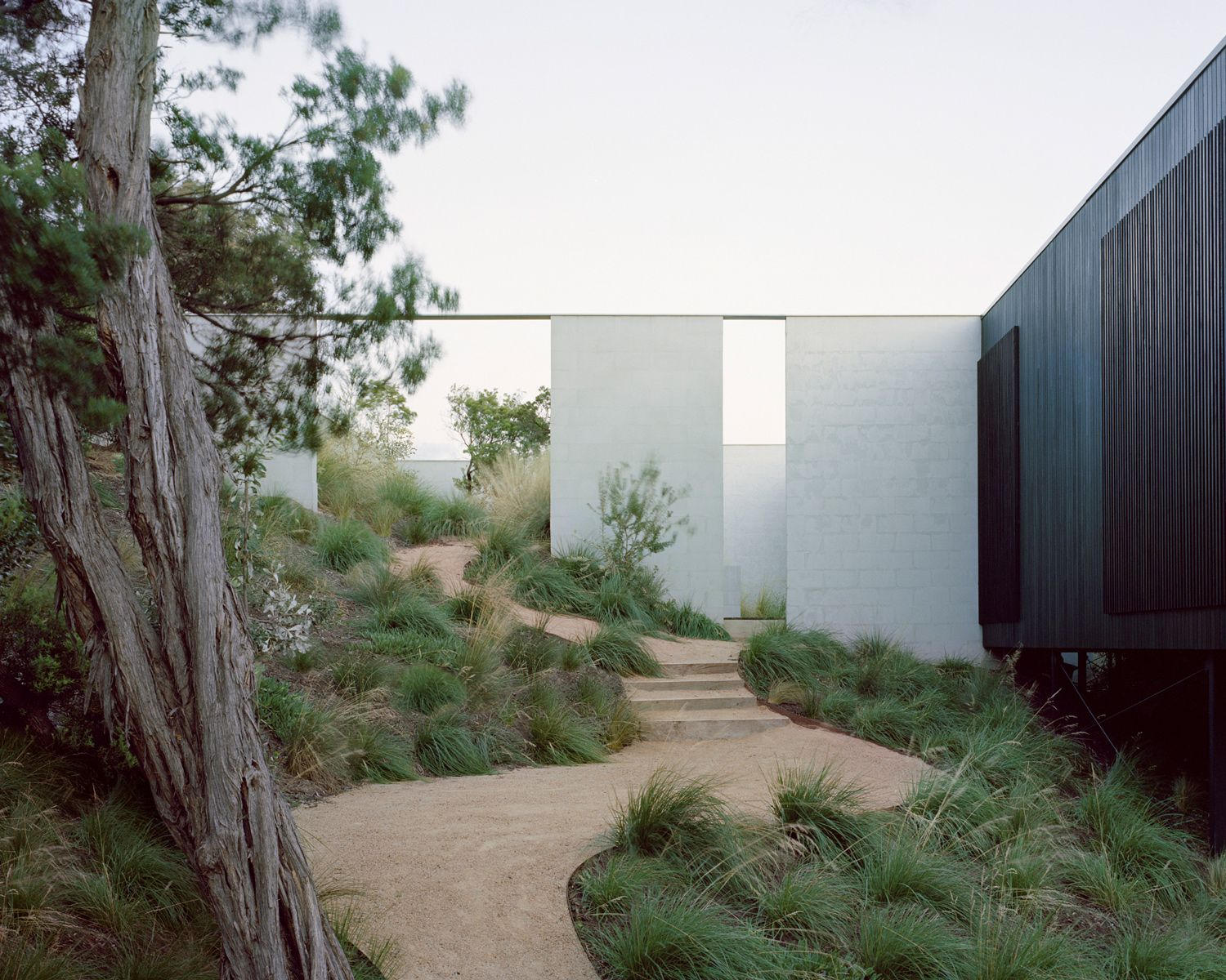 CO-architecture cover image