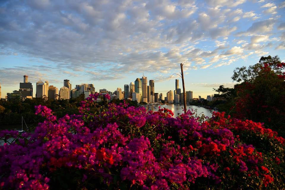 Must Do Brisbane cover image