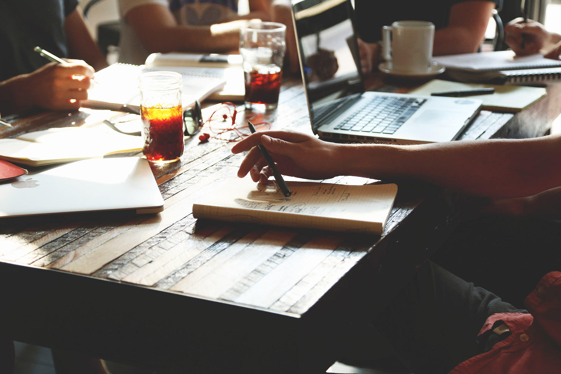 Startup Collections Profile, Reviews & Listing Guide